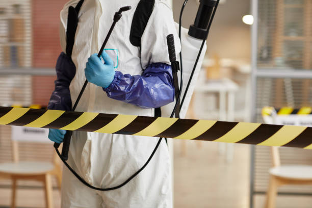 Professional Sewage Cleanup technician working in Newcastle, WA