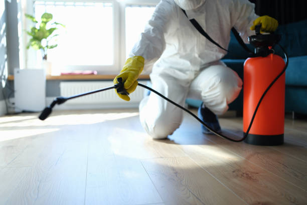 Reliable Sewage Cleanup contractor in Newcastle, WA by Dulley Family Biohazard Services